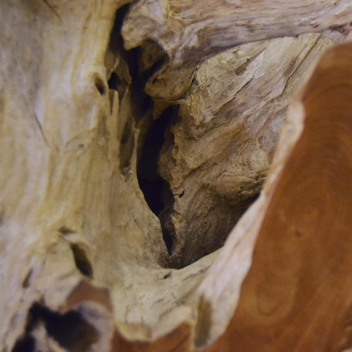 Τραπέζι σαλονιού Teak root m-y - Image 4